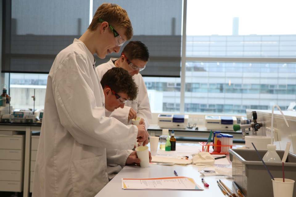 Beta Tournament 2025