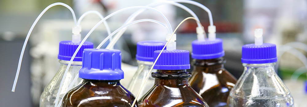 Ontdekken wat dieren ziek maakt en welke medicijnen helpen