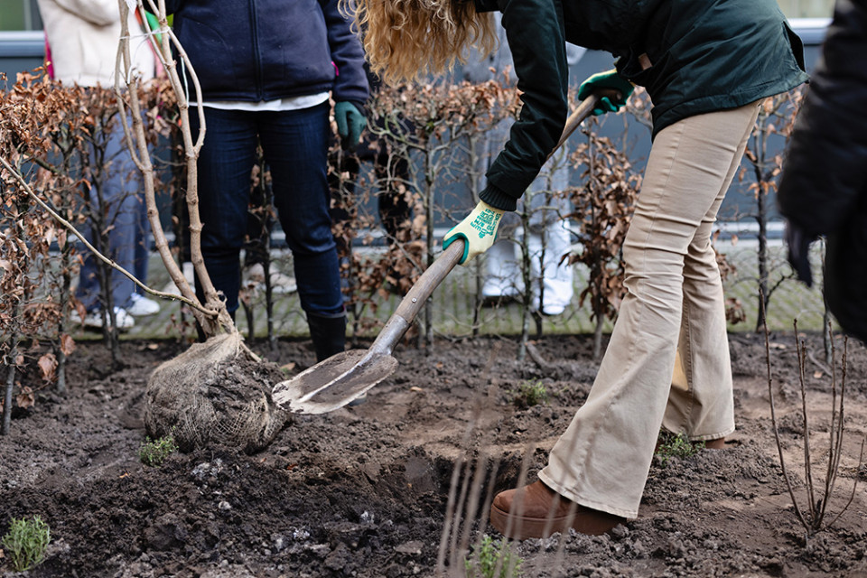 Op het terrein van de Summa-campus tussen Sterrenlaan 4 en 6 plantten studenten bomen in het kader van het programma Trees for Schools; een initiatief van stichting Trees for All.